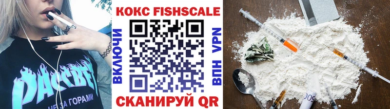 кракен зеркало Новошахтинск COCAIN Fish Scale