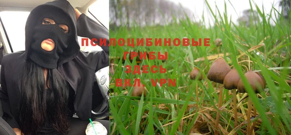 соль ск Домодедово