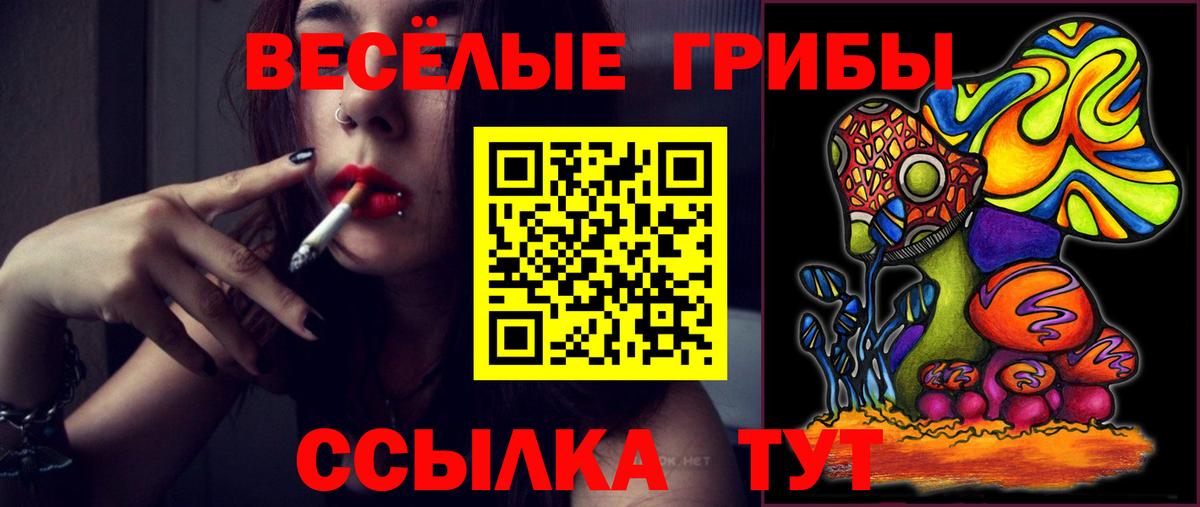 Псилоцибиновые грибы мухоморы  Псилоцибиновые грибы GOLDEN TEACHER  Вход с VPN  Новошахтинск 