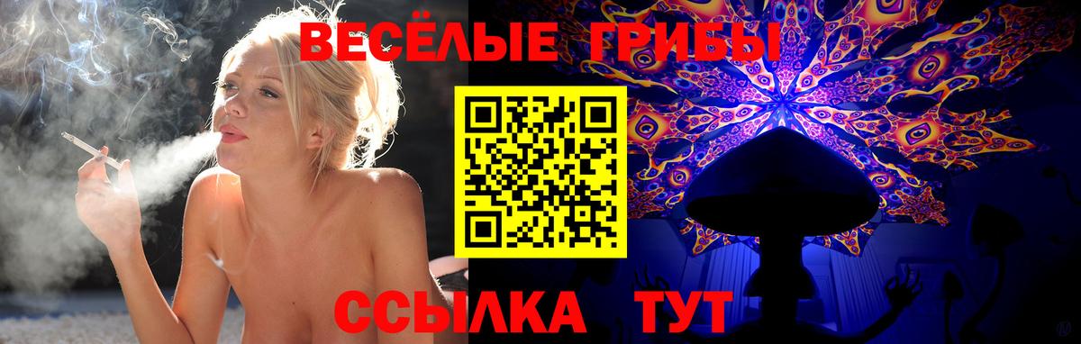 Псилоцибиновые грибы мицелий Новошахтинск